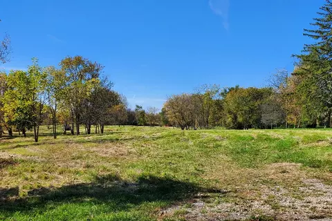Lot 1 N Chicago Avenue, Wadsworth, IL 60083
