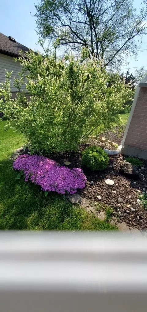 640 Mohave St, Hoffman Estates, IL 60169 photo 19