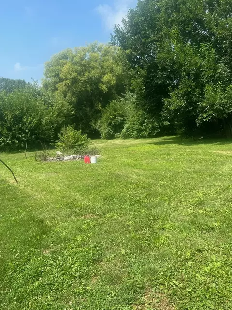 417 N Sangamon St, Bement, IL 61813 photo 2