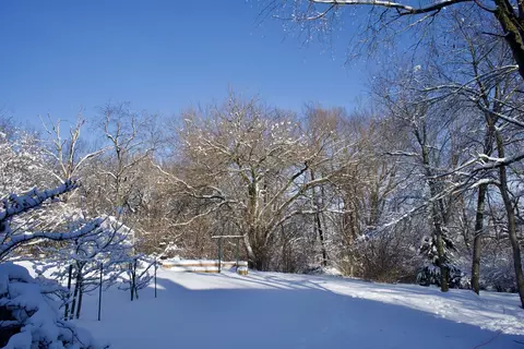 1506 Tecumseh Dr, Mchenry, IL 60050 photo 32
