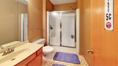 13119 Cinnamon Cir, Plainfield, IL 60585 photo 16