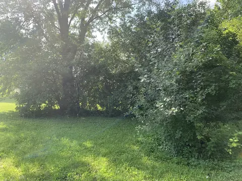 539 63rd St, Willowbrook, IL 60527 photo 10