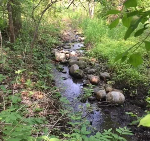 Lot 17 Brorson Lane, Johnsburg, IL 60050