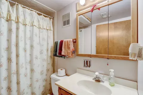 1439 Jackson Ave, River Forest, IL 60305 photo 45