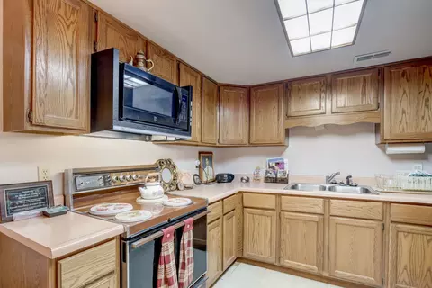 1439 Jackson Ave, River Forest, IL 60305 photo 43