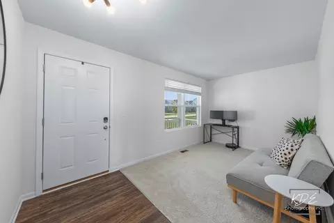 1017 Sharp Dr, Plano, IL 60545 photo 5