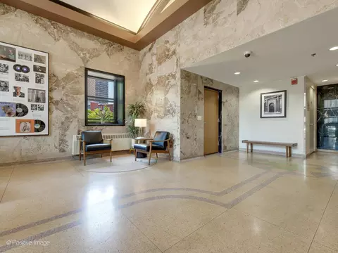 320 E 21st St #304, Chicago, IL 60616 photo 24