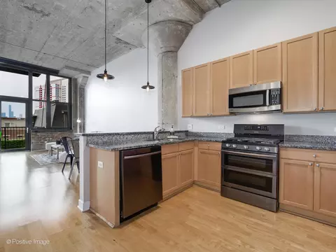 320 E 21st St #304, Chicago, IL 60616 photo 8