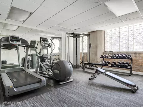 320 E 21st St #304, Chicago, IL 60616 photo 23