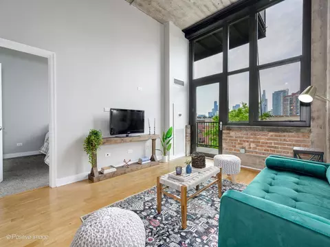 320 E 21st St #304, Chicago, IL 60616 photo 4