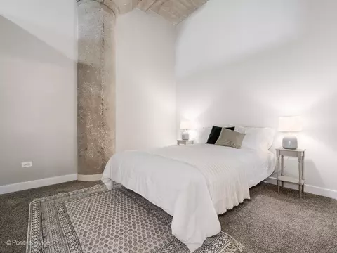 320 E 21st St #304, Chicago, IL 60616 photo 15