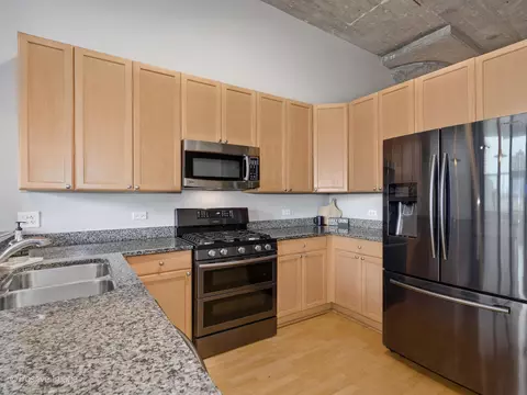 320 E 21st St #304, Chicago, IL 60616 photo 9