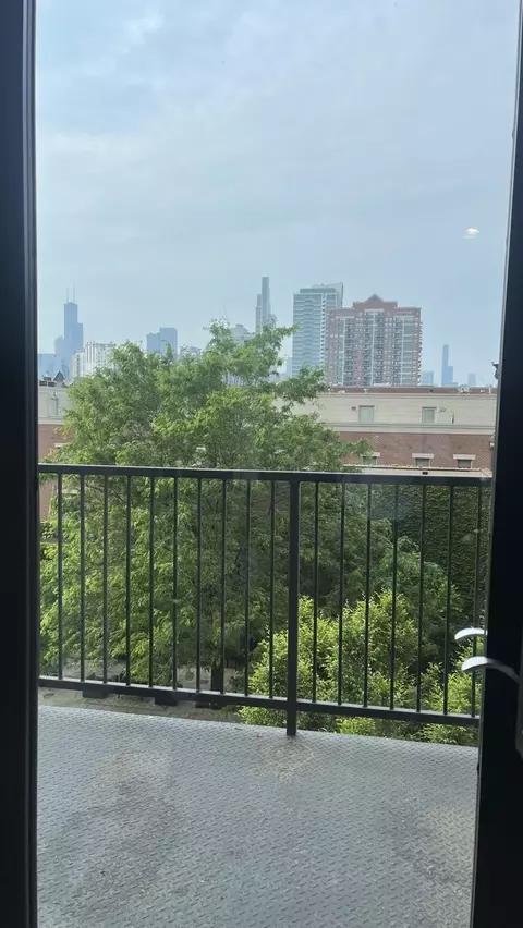 320 E 21st St #304, Chicago, IL 60616 photo 19