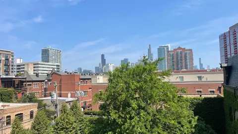 320 E 21st St #304, Chicago, IL 60616 photo 18
