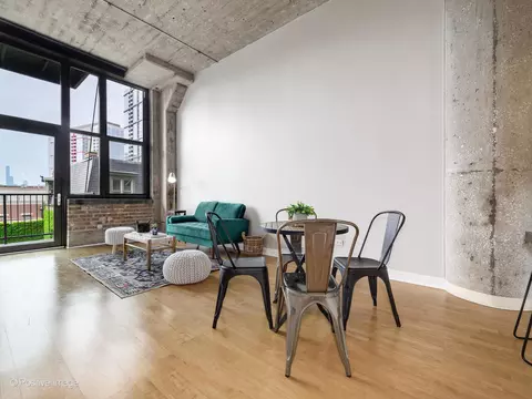 320 E 21st St #304, Chicago, IL 60616 photo 2