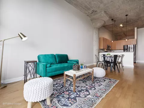 320 E 21st St #304, Chicago, IL 60616 photo 5