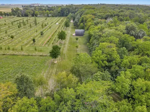 1100 Cr 2300 E, Sidney, IL 61877 photo 3