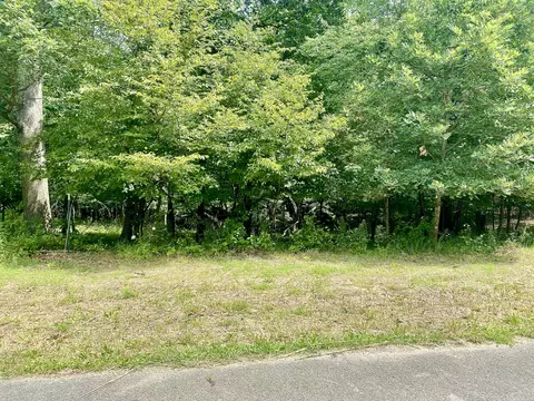 lot55 Eagle Chase Dr, Seneca, IL 61360