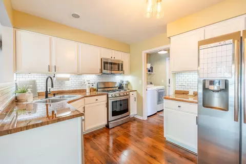 1319 Filly Ln, Bartlett, IL 60103 photo 3