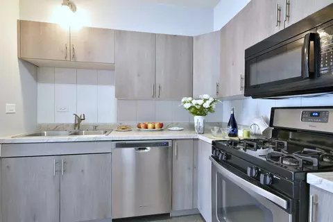 1243 Brown St #2A, Des Plaines, IL 60016 photo 2