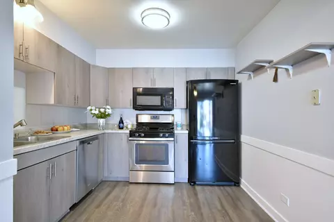 1243 Brown St #2A, Des Plaines, IL 60016 photo 3