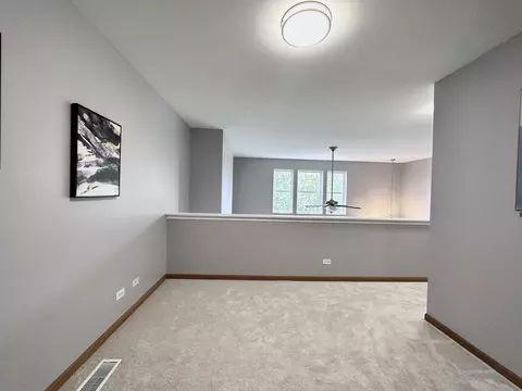 237 Springbrook Trl S, Oswego, IL 60543 photo 12