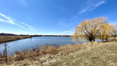 237 Springbrook Trl S, Oswego, IL 60543 photo 25