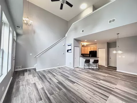 237 Springbrook Trl S, Oswego, IL 60543 photo 6