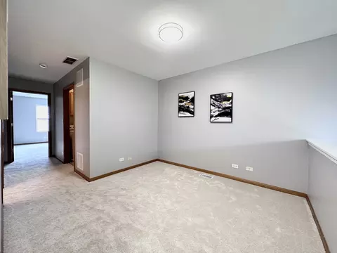 237 Springbrook Trl S, Oswego, IL 60543 photo 13