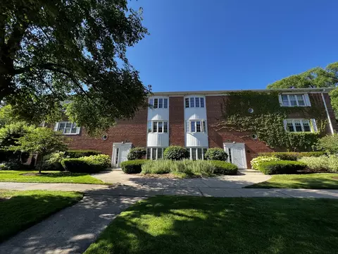 909 Greenwood St #3D, Evanston, IL 60201