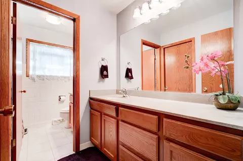 337 W 79th St, Willowbrook, IL 60527 photo 13