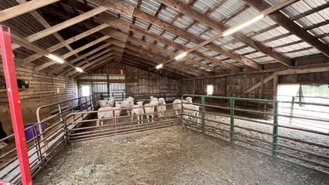 23160 Carroll Rd, Morrison, IL 61270 photo 9