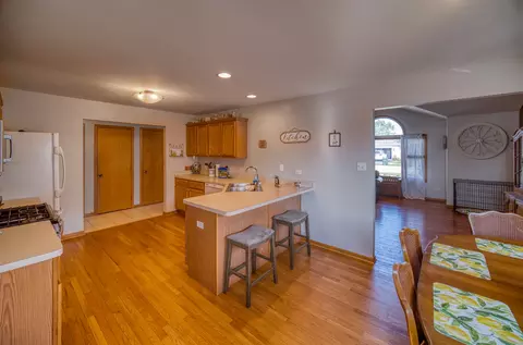 1610 Saddle Run Ln, Beecher, IL 60401 photo 17