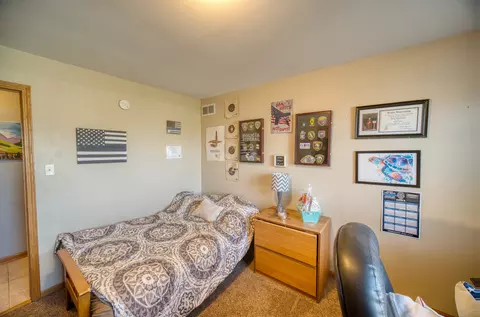 1610 Saddle Run Ln, Beecher, IL 60401 photo 31