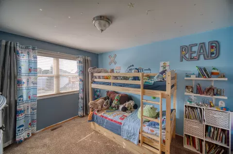 1610 Saddle Run Ln, Beecher, IL 60401 photo 26