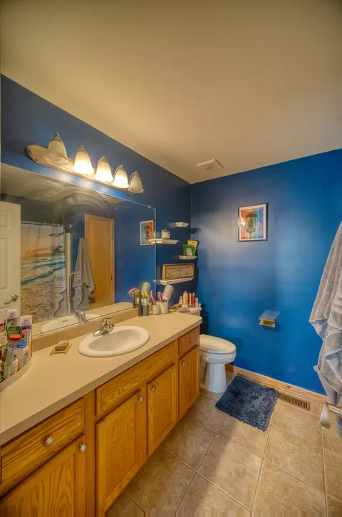 1610 Saddle Run Ln, Beecher, IL 60401 photo 24