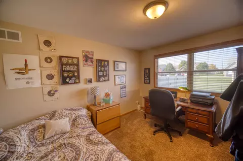 1610 Saddle Run Ln, Beecher, IL 60401 photo 30