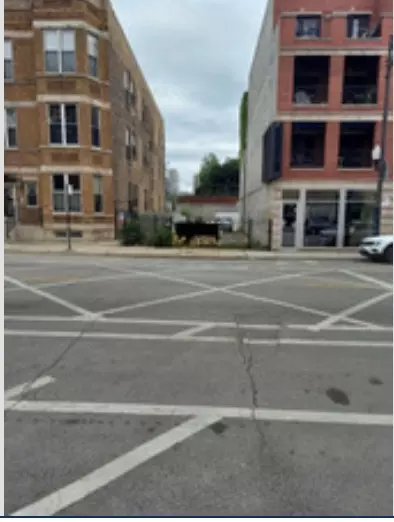 2713 N Halsted St, Chicago, IL 60614