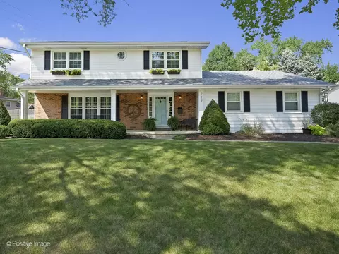 229 Tamarack Ave, Naperville, IL 60540