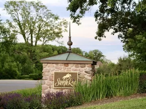 1203 Georgias Way, New Lenox, IL 60451