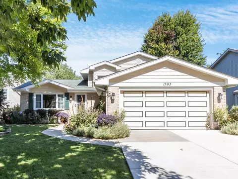 1593 Hinterlong Ln, Naperville, IL 60563