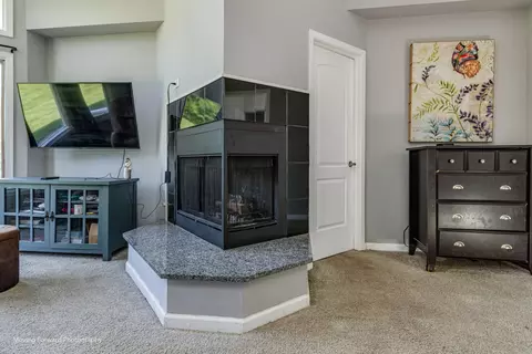 26 Graymoor Ln, Olympia Fields, IL 60461 photo 21