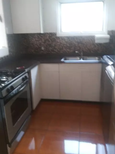 3805 W Pippin St, Chicago, IL 60652 photo 4
