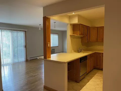 8876 Golf Rd #1D, Des Plaines, IL 60016 photo 6