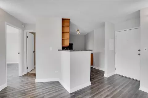 5550 Astor Ln #315, Rolling Meadows, IL 60008 photo 3