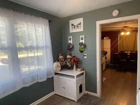 101 3rd St, Buckingham, IL 60917 photo 19