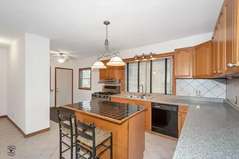 520 E 91st Pl, Chicago, IL 60619 photo 7