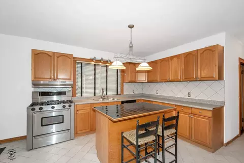 520 E 91st Pl, Chicago, IL 60619 photo 8