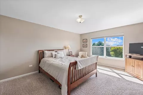 26658 Lindengate Cir, Plainfield, IL 60585 photo 20
