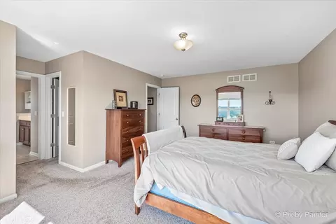 26658 Lindengate Cir, Plainfield, IL 60585 photo 21